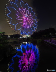 池に映った大観覧車　P1168626
