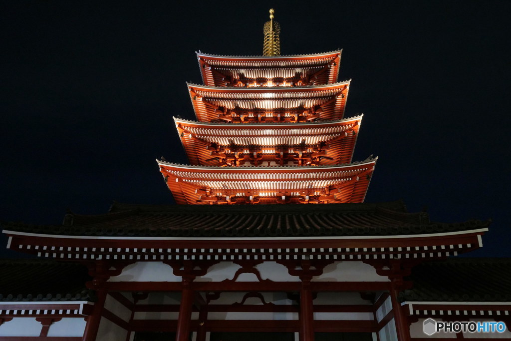 シンメトリー　P1130188