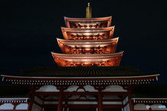 シンメトリー　P1130188