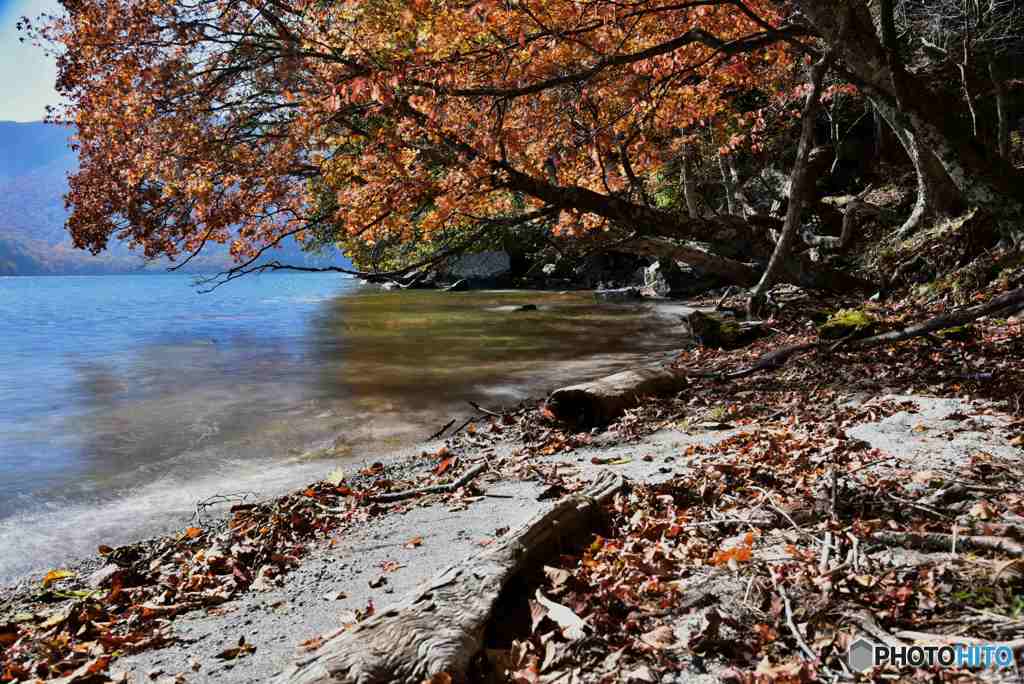 湖畔の紅葉～１