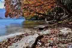 湖畔の紅葉～１