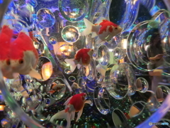 暑中お見舞い　P1103242