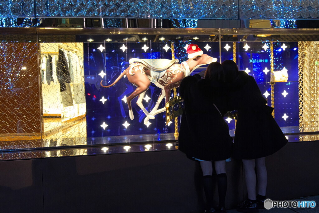 ショウウィンドウ