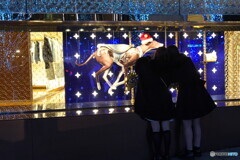 ショウウィンドウ