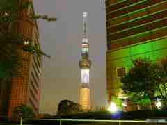 都会のオアシス