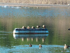 ド・ド・ド・レ・ミ