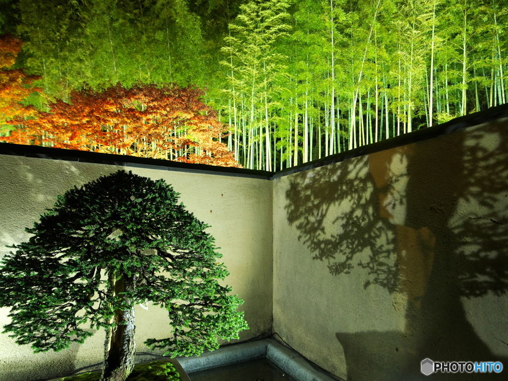 今年もよろしくお願いします