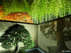 今年もよろしくお願いします