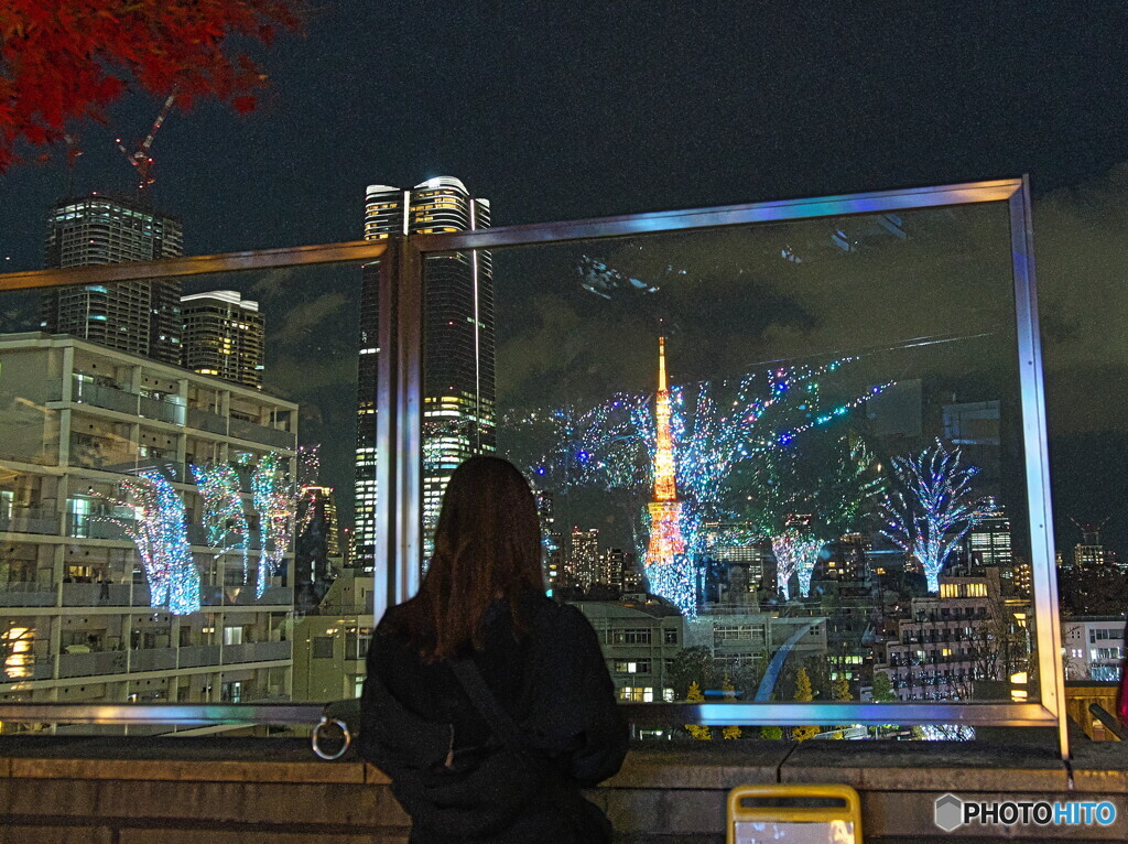 東京タワーを望む