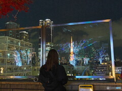 東京タワーを望む