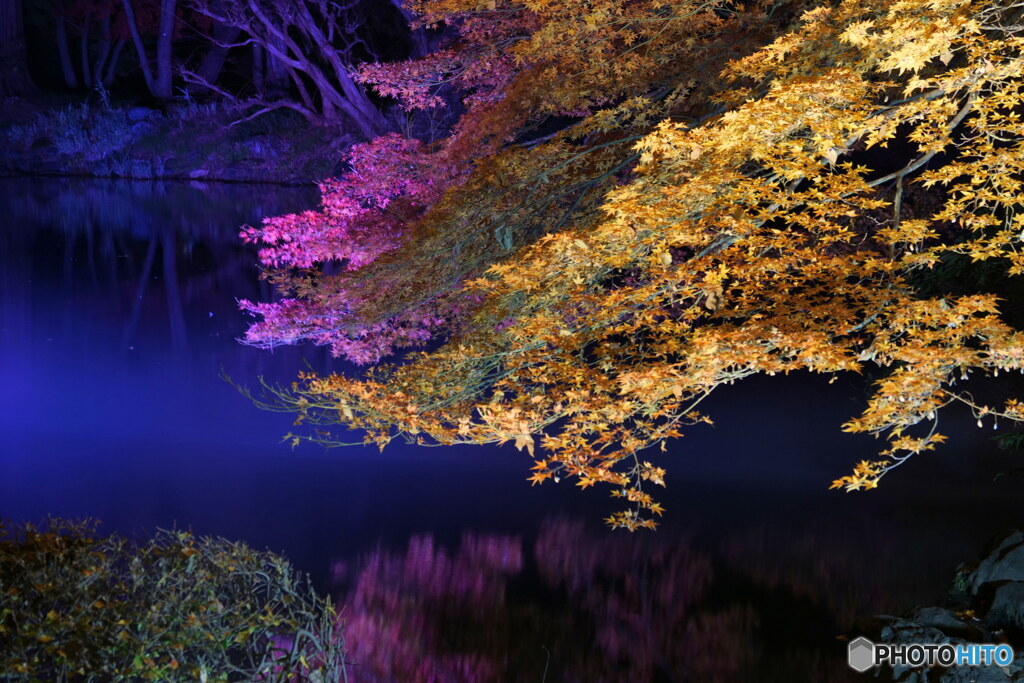 ひそやかに　P1140781