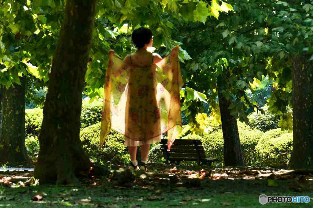 天女が舞い降りた