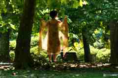 天女が舞い降りた