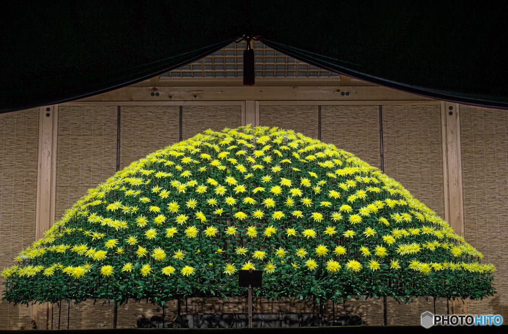 大作り花壇　P1169164