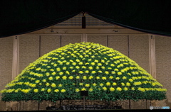 大作り花壇　P1169164