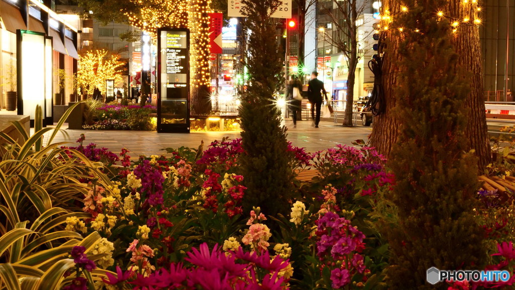 行き先は？　P1030643