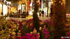 行き先は？　P1030643