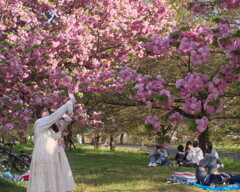 八重桜を楽しむ＃１