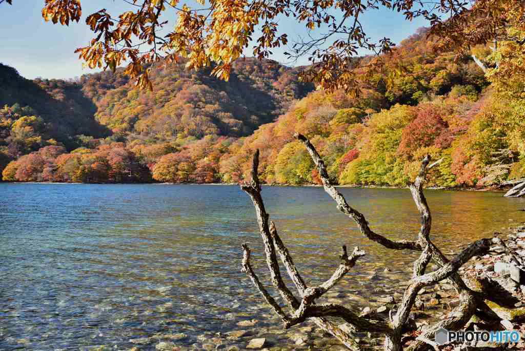 湖畔の紅葉～２