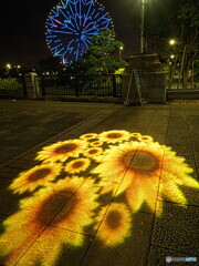 地上のひまわり