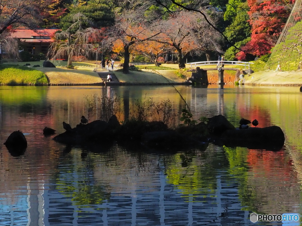 シルエット　PB301067