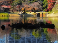 シルエット　PB301067