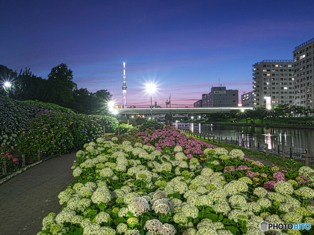 夕景・夜景＃２