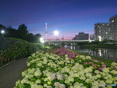 夕景・夜景＃２