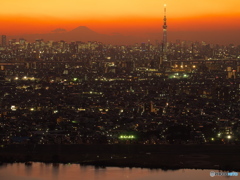東京の夕景