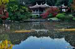 晩秋の新宿御苑その３