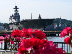 海自護衛艦「かが」とバラ　P1090331