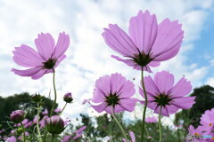 リズム　P1126641