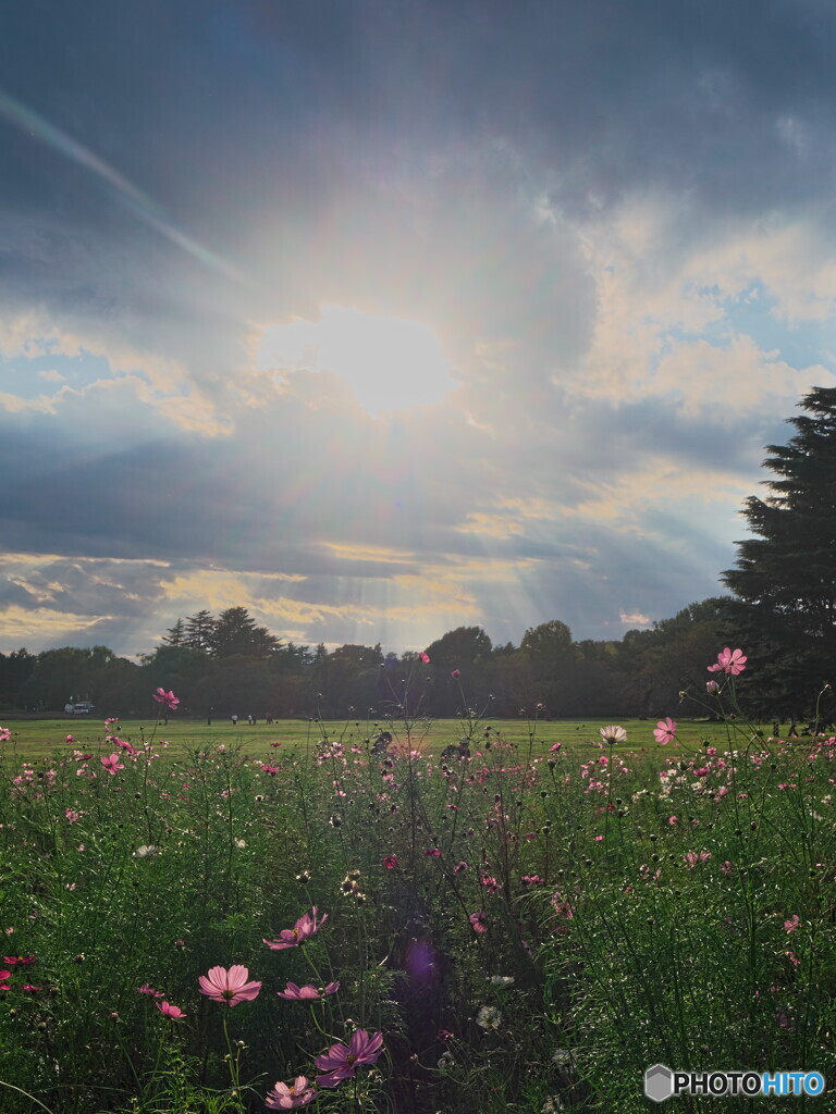 秋の夕暮れ＃２