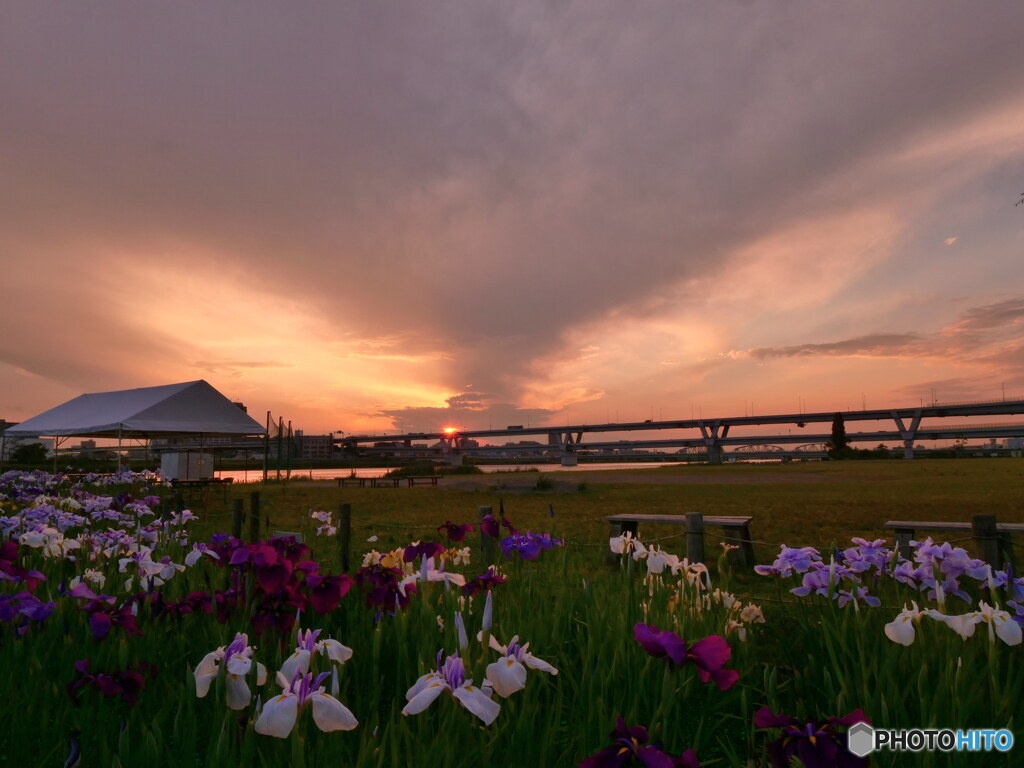 日暮れ時　P1090890