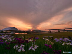 日暮れ時　P1090890