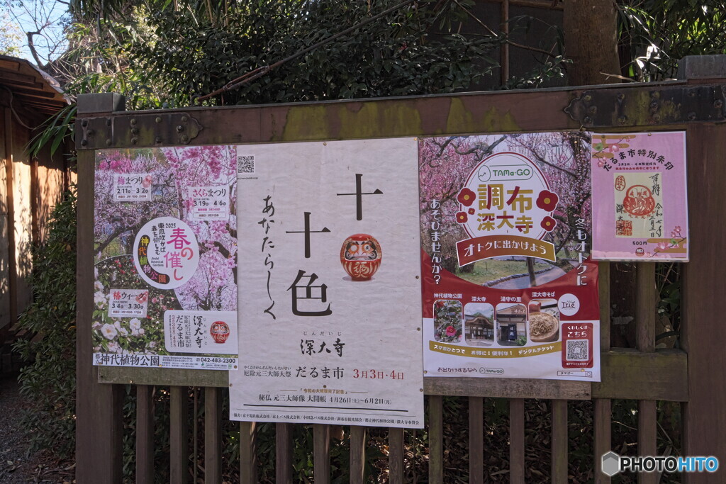 春の催しがずらり