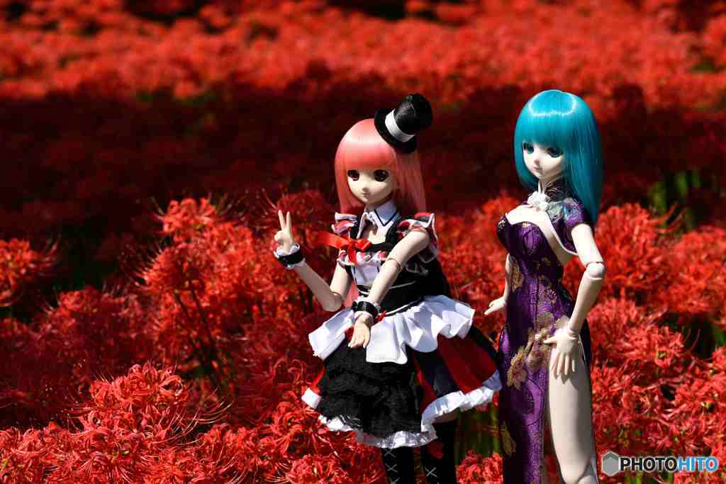 曼珠沙華をバックに!