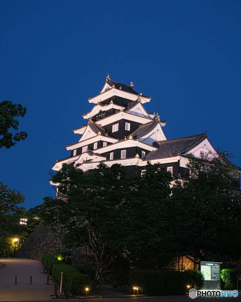 ライトアップの城