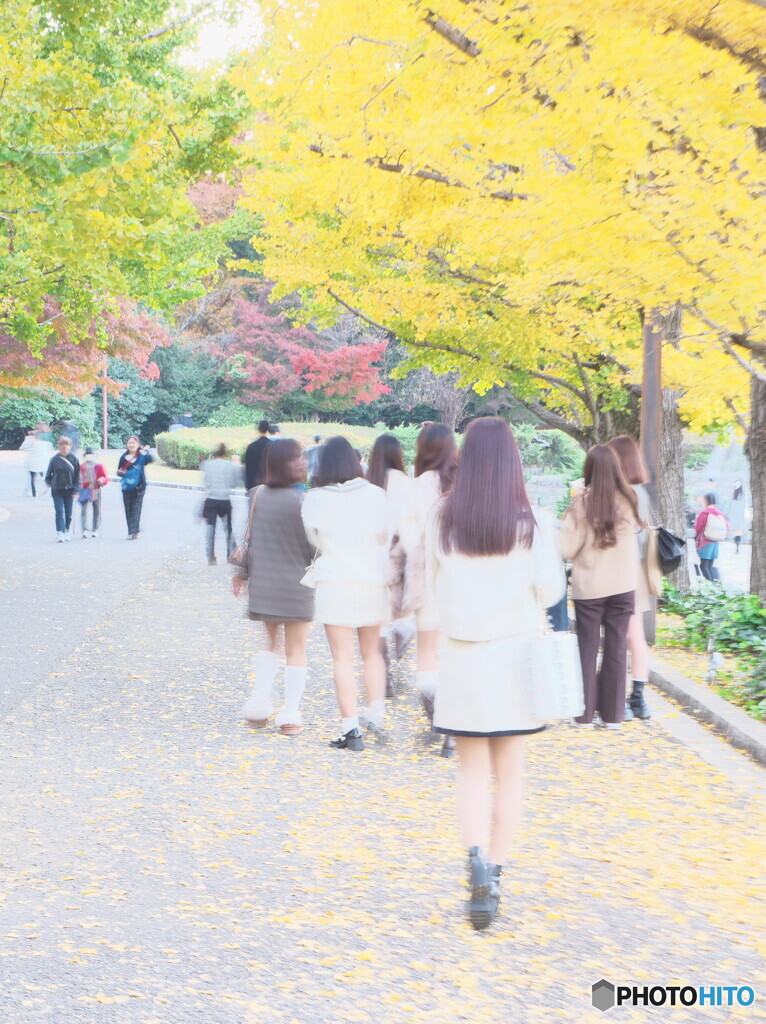 女の子も銀杏がお好き？