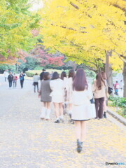 女の子も銀杏がお好き？