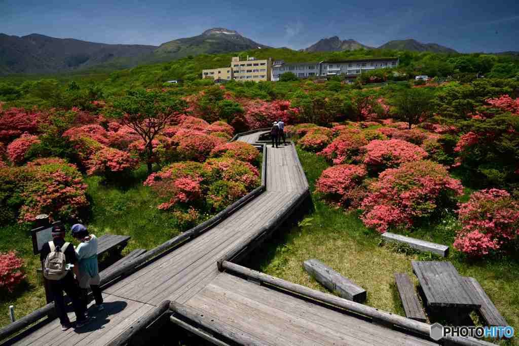 ヤマツツジのかなたに茶臼岳～１
