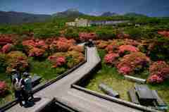 ヤマツツジのかなたに茶臼岳～１