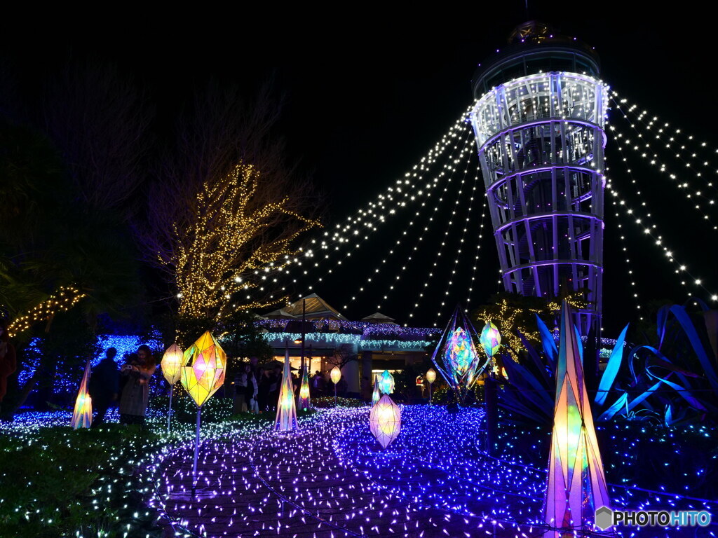 湘南の宝石　P1140156