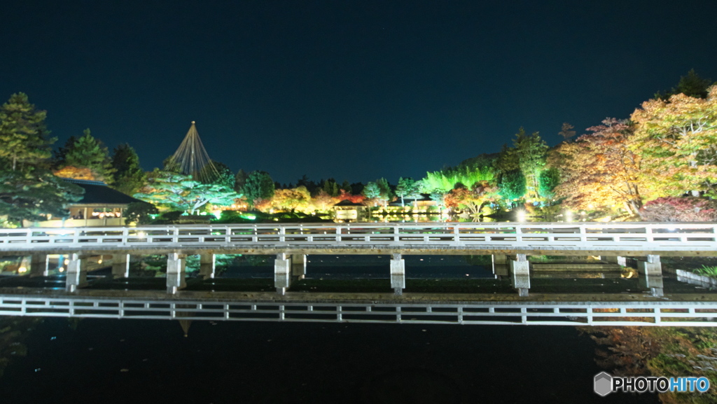 ライトアップされた木橋