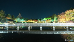 ライトアップされた木橋