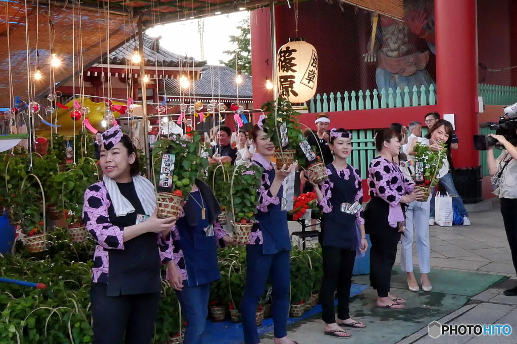 呼子のお姉さん　P1130204