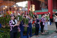 呼子のお姉さん　P1130204