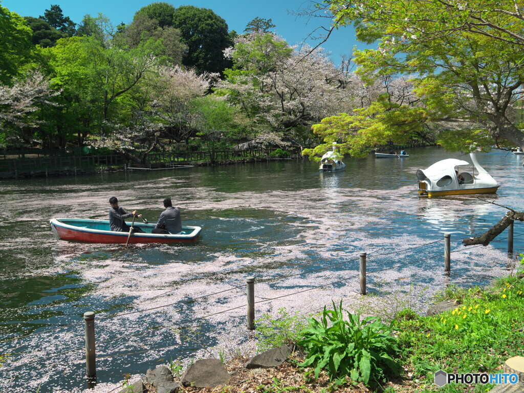 花筏とボート＃１