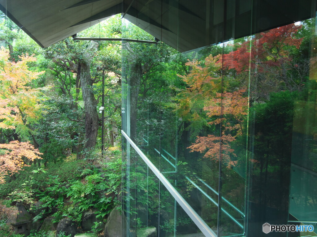 紅葉の根津美術館＃１
