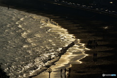 黄金に輝くとき　DSC_4002